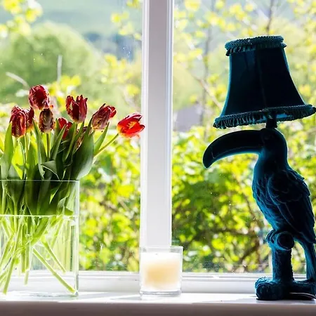 Sunnybeck Award Winning Dog Friendly Semesterbostad *
